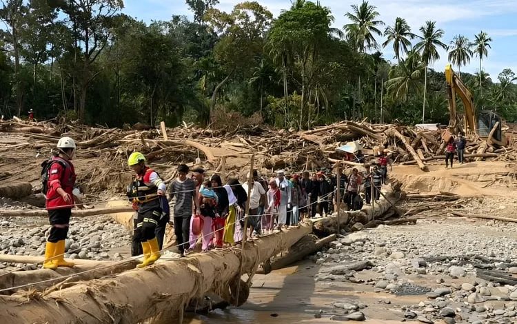 Kayu Gelondongan Pascabencana di Sumatra Utara Usai Banjir