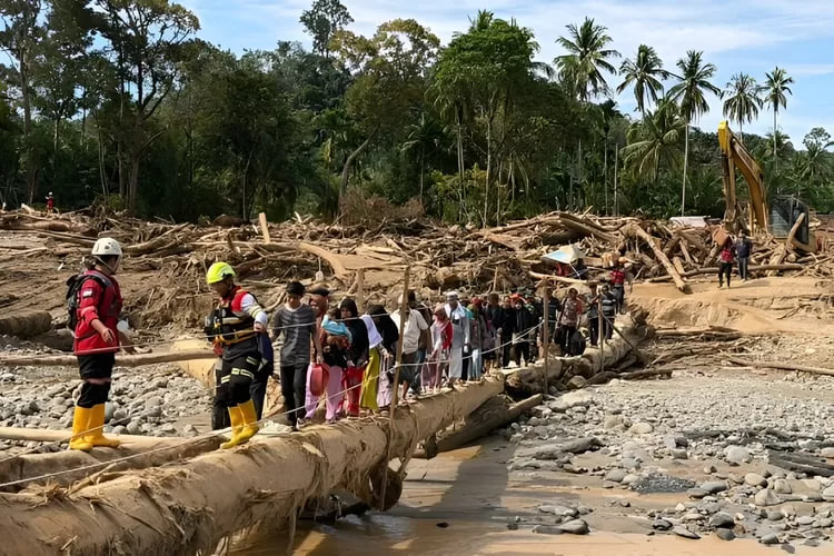 Kayu Gelondongan Pascabencana di Sumatra Utara Usai Banjir