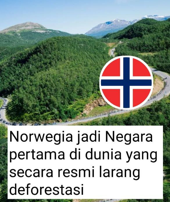 Indahnya Alam Norwegia, Bukti Keberhasilan Melarang Deforestasi