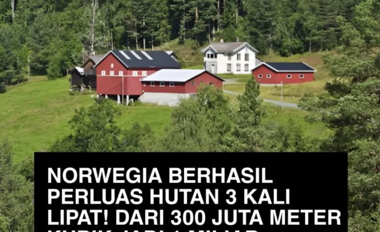Norwegia Sukses Perluas Hutan Tiga Kali Lipat, Jadi Contoh Dunia