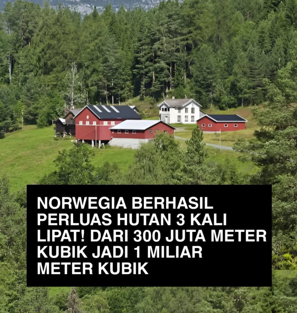 Norwegia Sukses Perluas Hutan Tiga Kali Lipat, Jadi Contoh Dunia