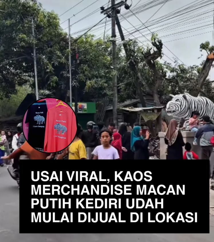 Usai Viral, Kaos Merchandise Macan Putih Kediri Mulai Dijual